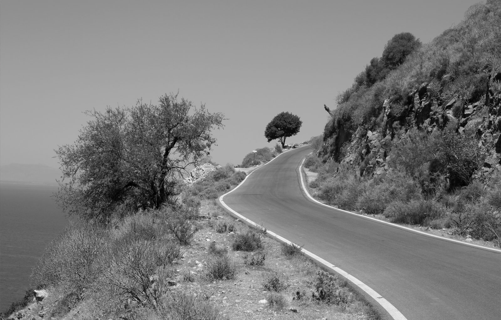 carmine_photos_2